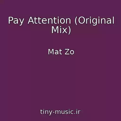 کاور آهنگ Pay Attention (Original Mix) از Mat Zo