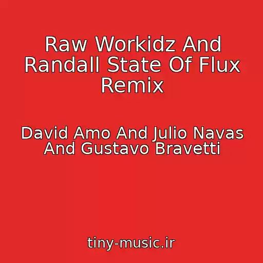 کاور آهنگ Raw Workidz And Randall State Of Flux Remix از David Amo And Julio Navas And Gustavo Bravetti