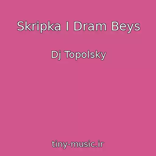کاور آهنگ Skripka I Dram Beys از Dj Topolsky