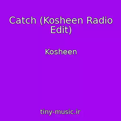 کاور آهنگ Catch (Kosheen Radio Edit) از Kosheen