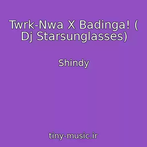 کاور آهنگ Twrk-Nwa X Badinga! ( Dj Starsunglasses) از Shindy