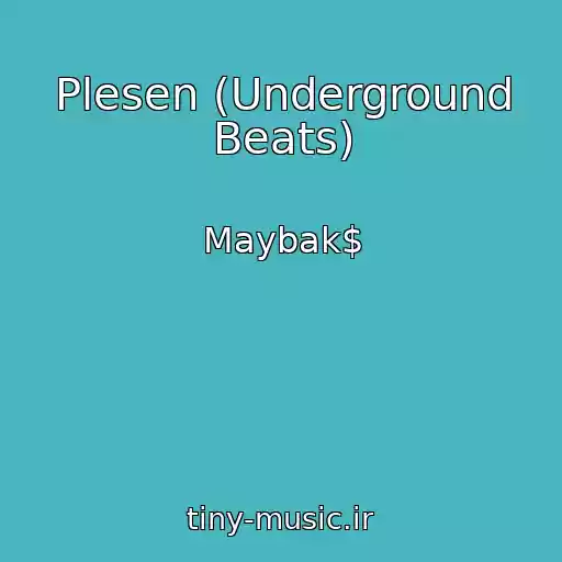 کاور آهنگ Plesen (Underground Beats) از Maybak$