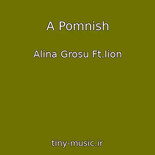 کاور آهنگ A Pomnish از Alina Grosu Ft.lion