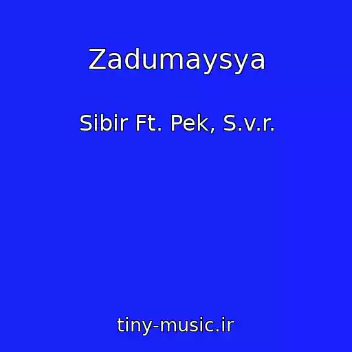کاور آهنگ Zadumaysya از Sibir Ft. Pek, S.v.r.