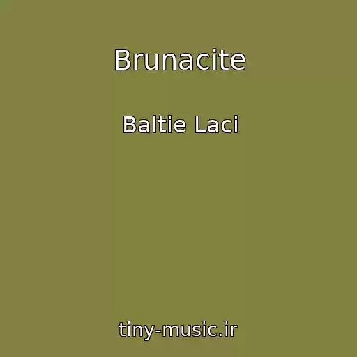 کاور آهنگ Brunacite از Baltie Laci