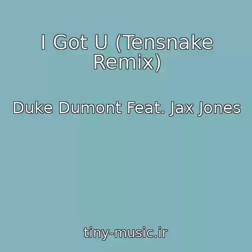 کاور آهنگ I Got U (Tensnake Remix) از Duke Dumont Feat. Jax Jones