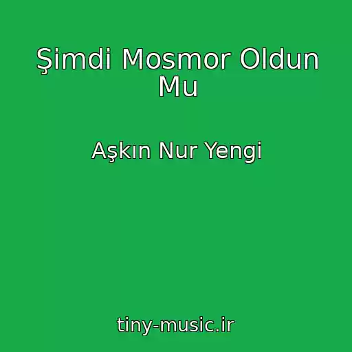کاور آهنگ Şimdi Mosmor Oldun Mu از Aşkın Nur Yengi
