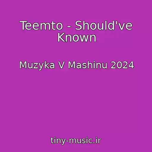 کاور آهنگ Teemto - Should've Known از Muzyka V Mashinu 2024
