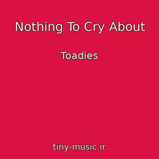 کاور آهنگ Nothing To Cry About از Toadies
