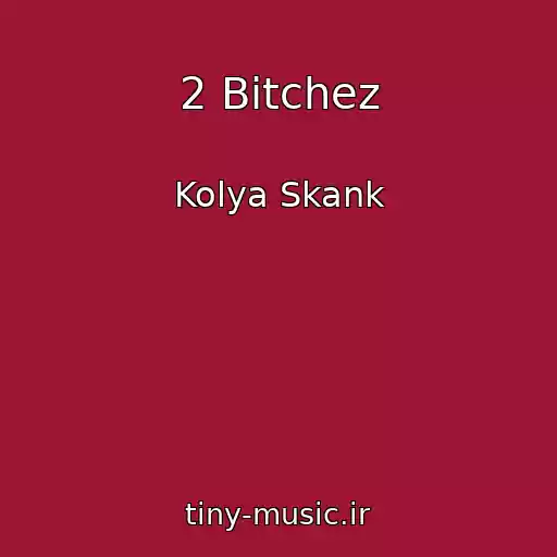 کاور آهنگ 2 Bitchez از Kolya Skank