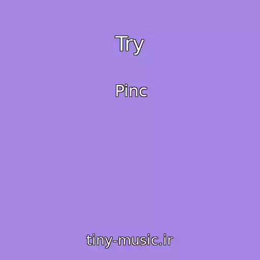 کاور آهنگ Try از Pinc