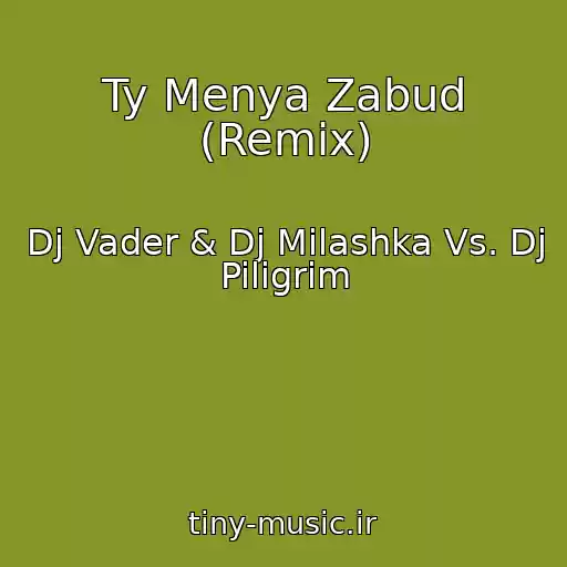 کاور آهنگ Ty Menya Zabud (Remix) از Dj Vader & Dj Milashka Vs. Dj Piligrim