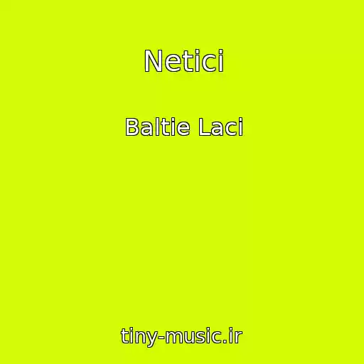 کاور آهنگ Netici از Baltie Laci
