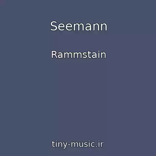 کاور آهنگ Seemann از Rammstain