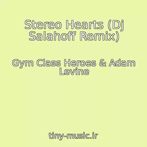 کاور آهنگ Stereo Hearts (Dj Salahoff Remix) از Gym Class Heroes & Adam Levine