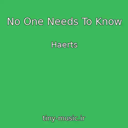 کاور آهنگ No One Needs To Know از Haerts