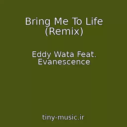 کاور آهنگ Bring Me To Life (Remix) از Eddy Wata Feat. Evanescence