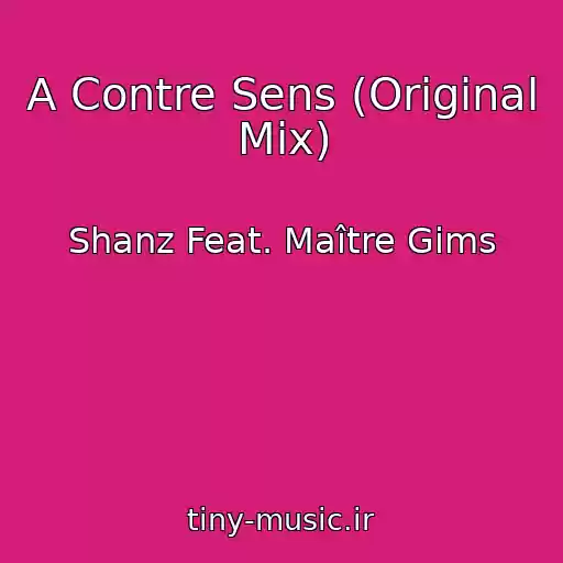 کاور آهنگ A Contre Sens (Original Mix) از Shanz Feat. Maître Gims