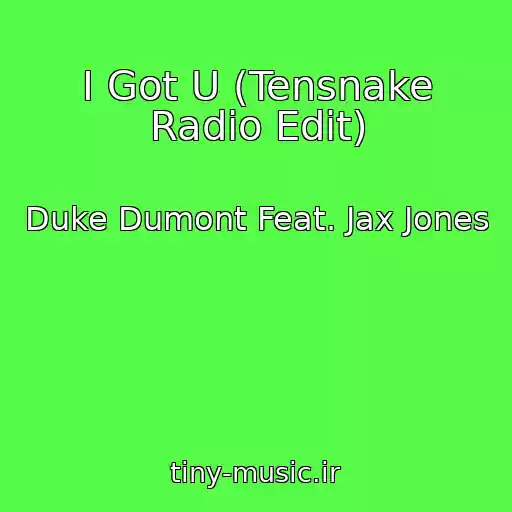 کاور آهنگ I Got U (Tensnake Radio Edit) از Duke Dumont Feat. Jax Jones
