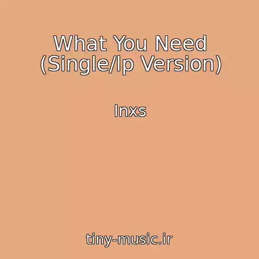 کاور آهنگ What You Need (Single/lp Version) از Inxs