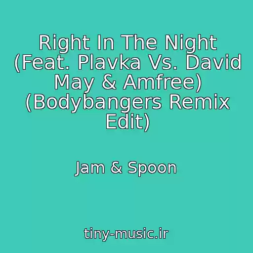 کاور آهنگ Right In The Night (Feat. Plavka Vs. David May & Amfree) (Bodybangers Remix Edit) از Jam & Spoon