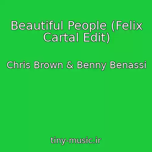 کاور آهنگ Beautiful People (Felix Cartal Edit) از Chris Brown & Benny Benassi
