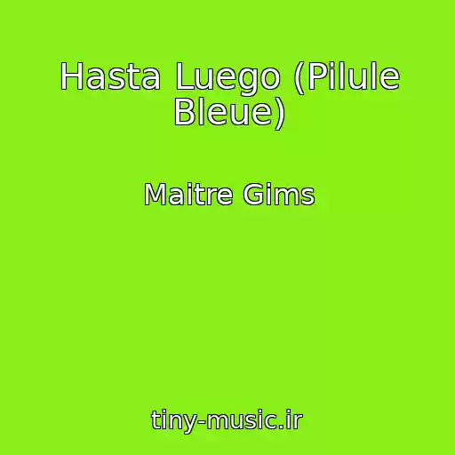 کاور آهنگ Hasta Luego (Pilule Bleue) از Maitre Gims