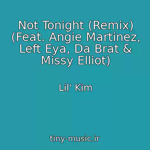 کاور آهنگ Not Tonight (Remix) (Feat. Angie Martinez, Left Eya, Da Brat & Missy Elliot) از Lil' Kim