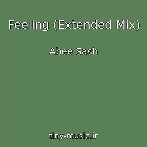کاور آهنگ Feeling (Extended Mix) از Abee Sash