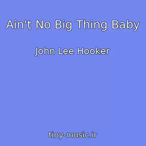 کاور آهنگ Ain't No Big Thing Baby از John Lee Hooker