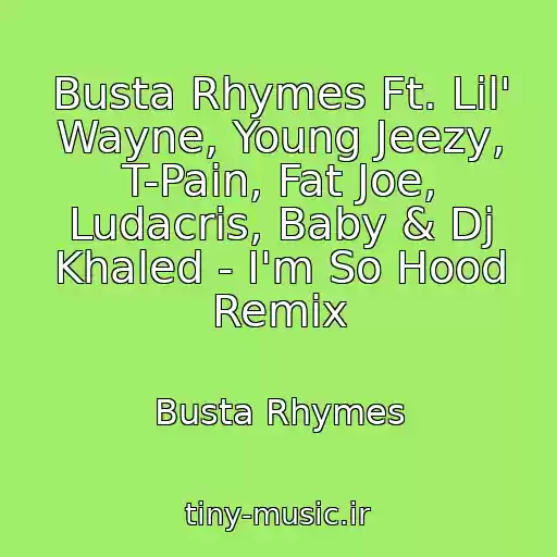 کاور آهنگ Busta Rhymes Ft. Lil' Wayne, Young Jeezy, T-Pain, Fat Joe, Ludacris, Baby & Dj Khaled - I'm So Hood Remix از Busta Rhymes
