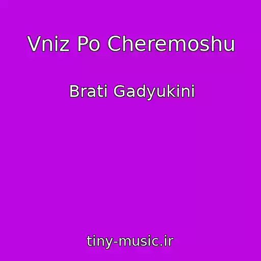 کاور آهنگ Vniz Po Cheremoshu از Brati Gadyukіni