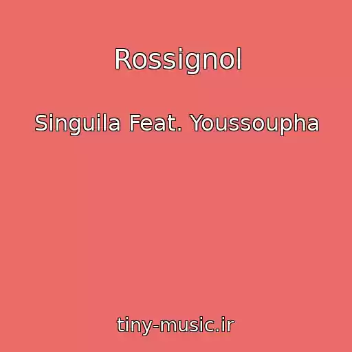 کاور آهنگ Rossignol از Singuila Feat. Youssoupha
