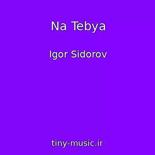 کاور آهنگ Na Tebya از Igor Sidorov
