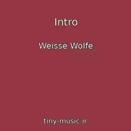 کاور آهنگ Intro از Weisse Wolfe