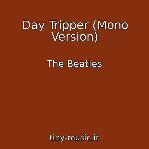 کاور آهنگ Day Tripper (Mono Version) از The Beatles