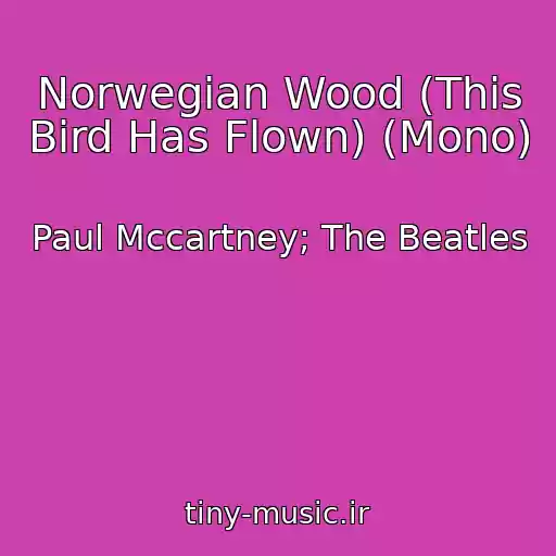 کاور آهنگ Norwegian Wood (This Bird Has Flown) (Mono) از Paul Mccartney; The Beatles