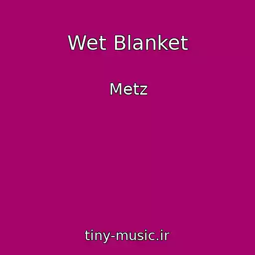 کاور آهنگ Wet Blanket از Metz