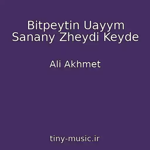 کاور آهنگ Bіtpeytіn Uayym Sanany Zheydі Keyde از Ali Akhmet