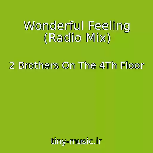 کاور آهنگ Wonderful Feeling (Radio Mix) از 2 Brothers On The 4Th Floor