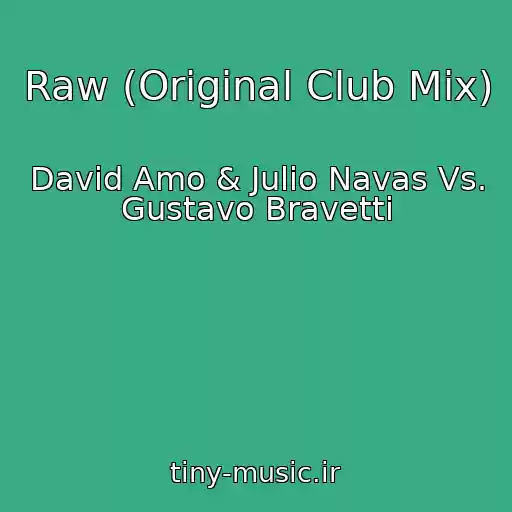 کاور آهنگ Raw (Original Club Mix) از David Amo & Julio Navas Vs. Gustavo Bravetti