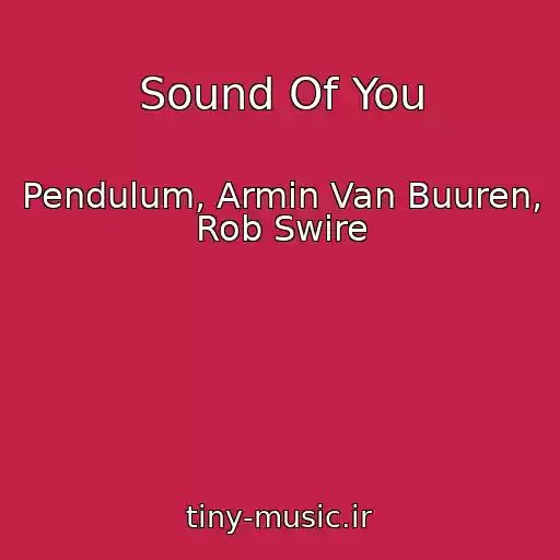 کاور آهنگ Sound Of You از Pendulum, Armin Van Buuren, Rob Swire