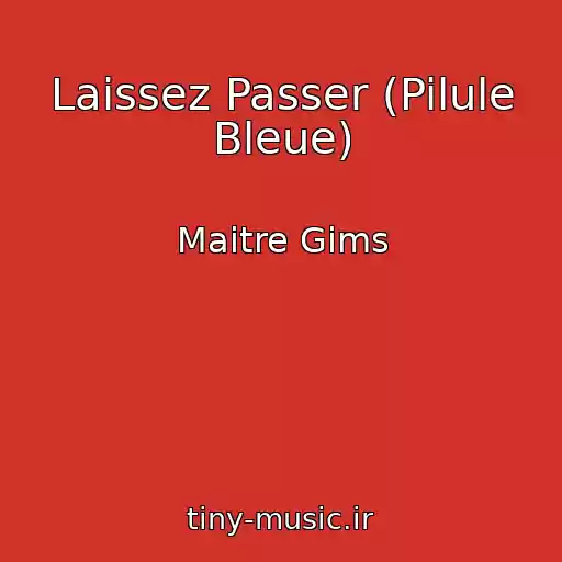کاور آهنگ Laissez Passer (Pilule Bleue) از Maitre Gims