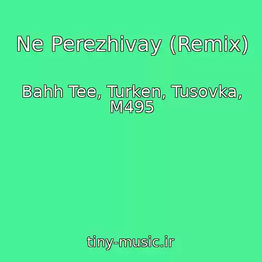 کاور آهنگ Ne Perezhivay (Remix) از Bahh Tee, Turken, Tusovka, M495