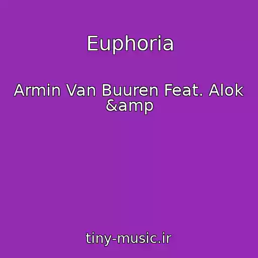 کاور آهنگ Euphoria از Armin Van Buuren Feat. Alok &amp