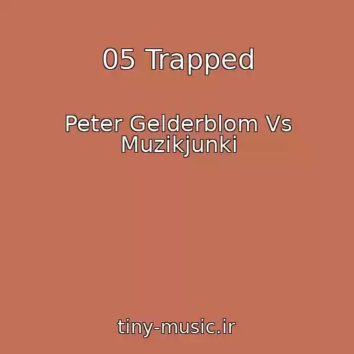 کاور آهنگ 05 Trapped از Peter Gelderblom Vs Muzikjunki