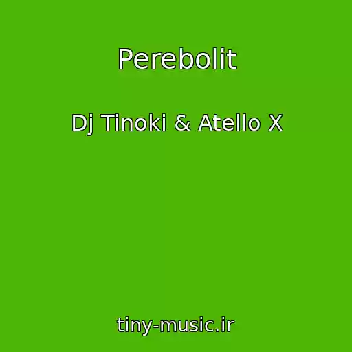 کاور آهنگ Perebolit از Dj Tinoki & Atello X