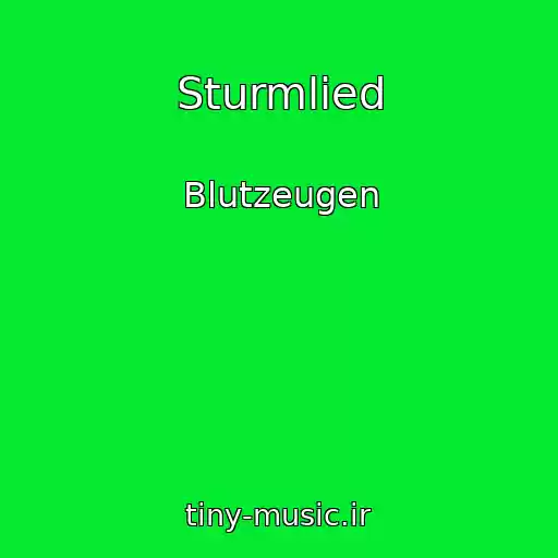 کاور آهنگ Sturmlied از Blutzeugen