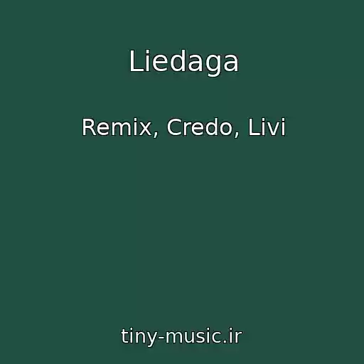 کاور آهنگ Liedaga از Remix, Credo, Livi
