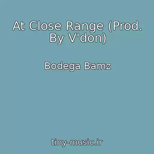 کاور آهنگ At Close Range (Prod. By V'don) از Bodega Bamz